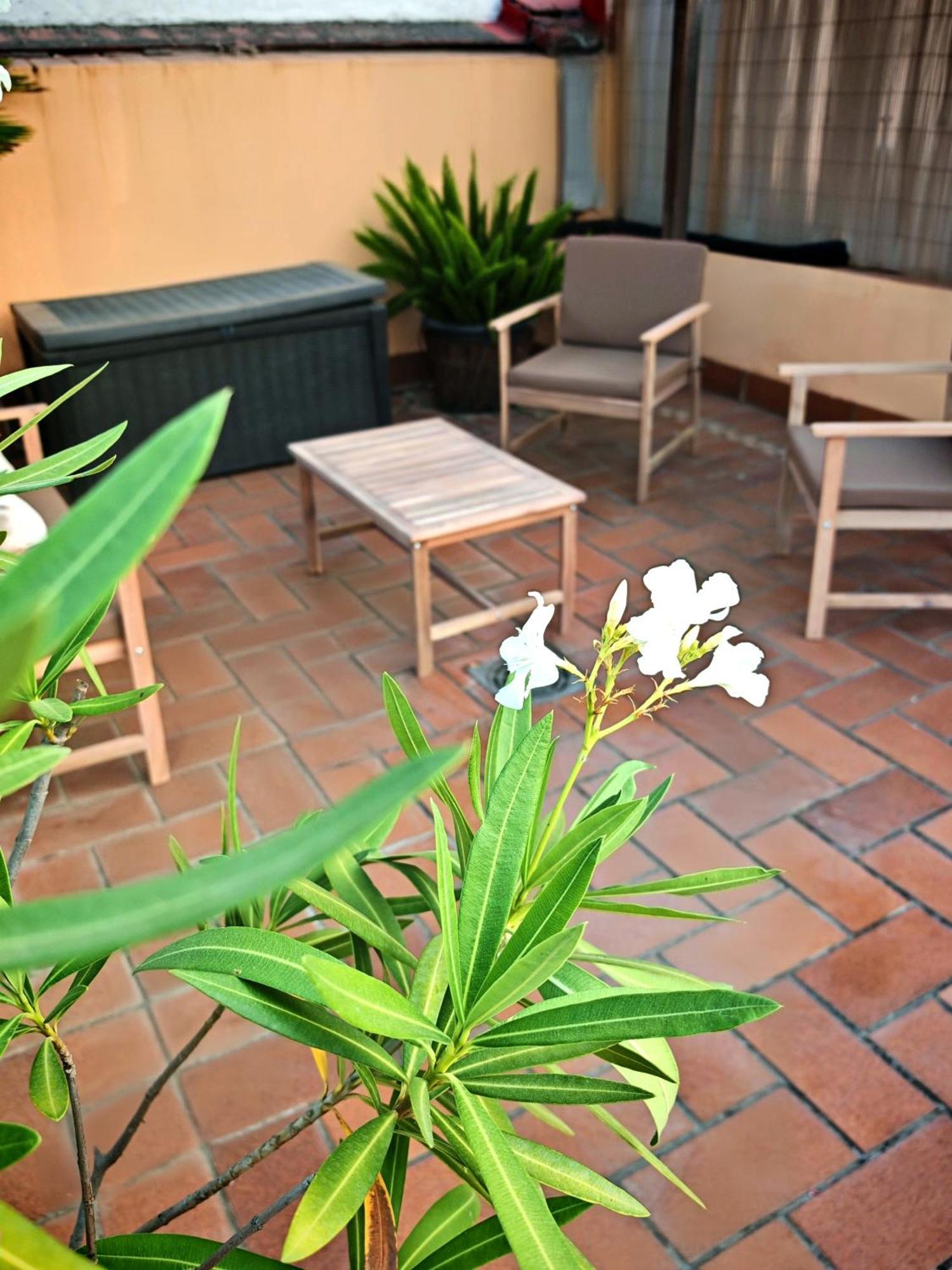 Luxury Rooftop - Space Maison Apartments, Seville